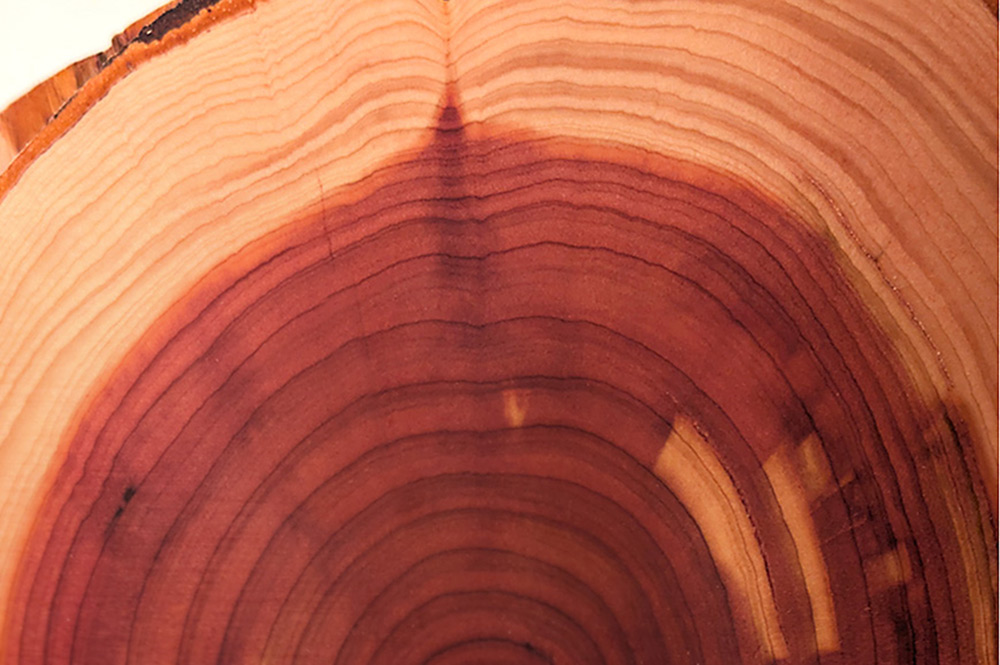 Cedar Watermelon Bookends