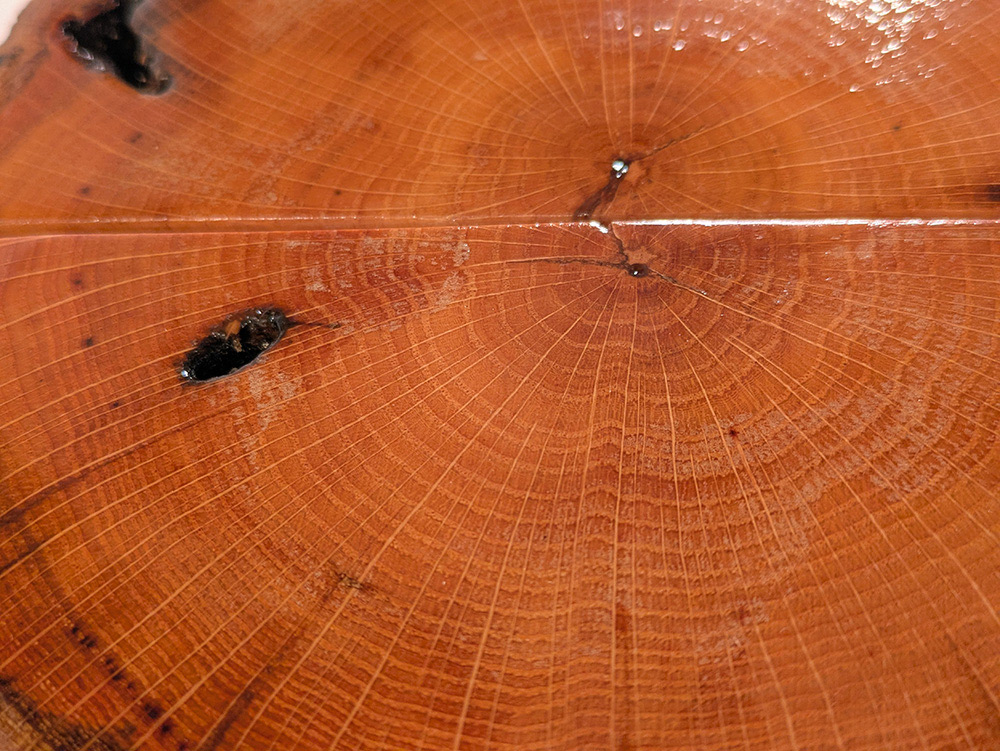 Ancient Earth Bookends