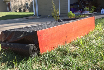 Raised Garden Beds