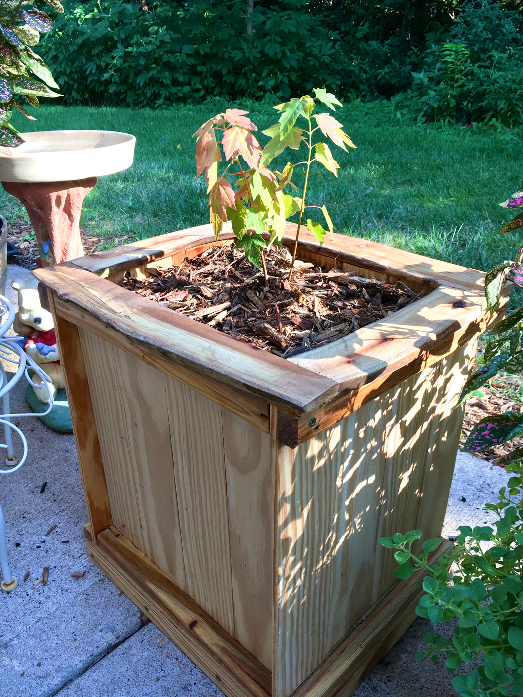 Outdoor Planter