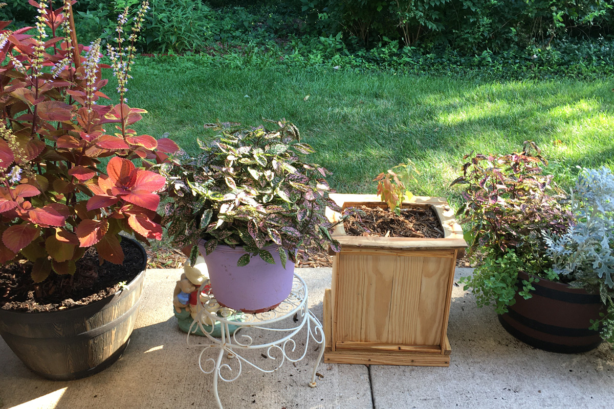 Outdoor Planter
