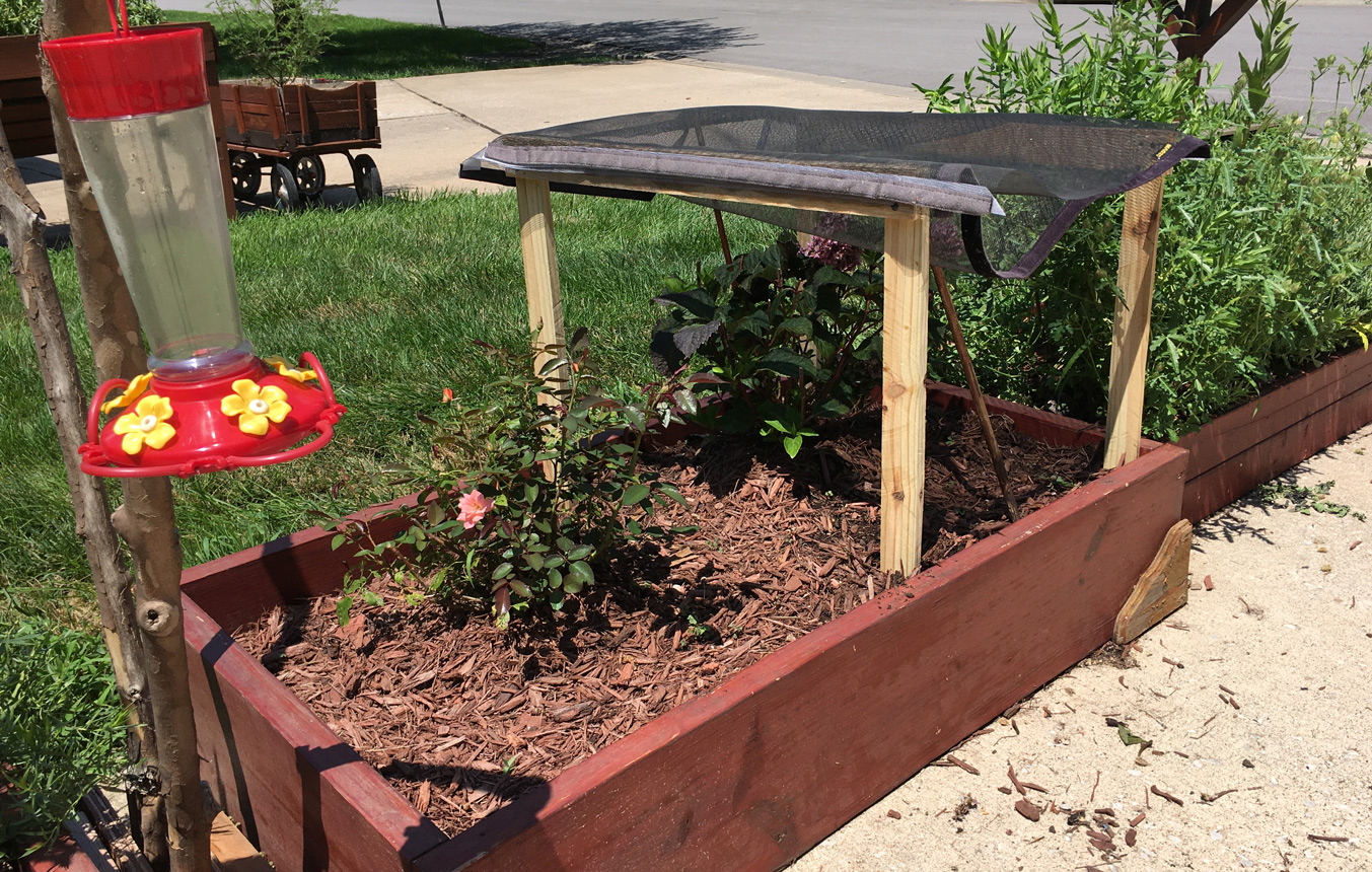 Raised Garden Beds