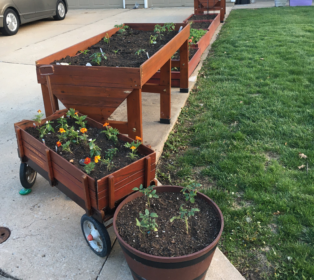 Raised Garden Beds